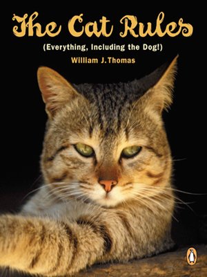 cover image of Cat Rules
